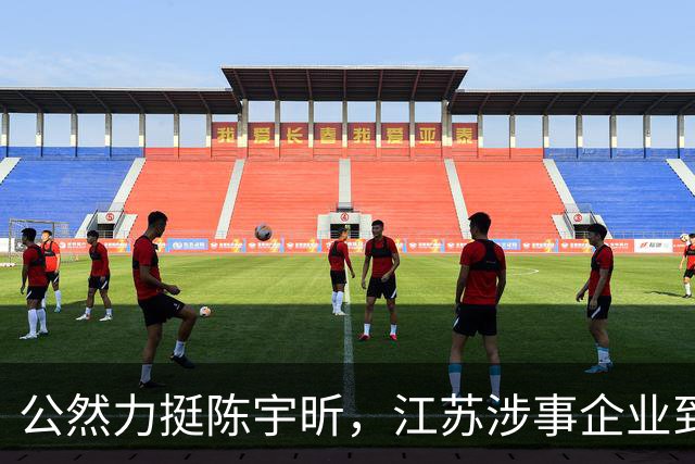 公然力挺陈宇昕，江苏涉事企业到底图个啥