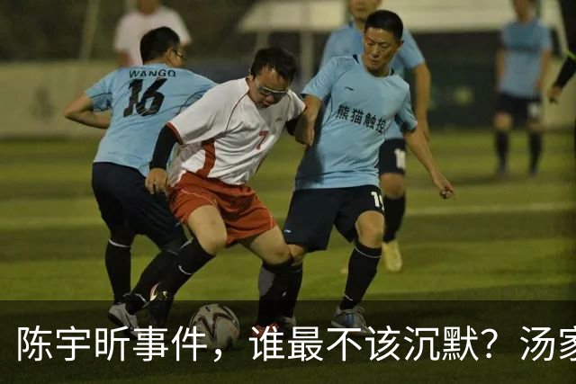 陈宇昕事件，谁最不该沉默？汤家凤博士一语戳中软肋